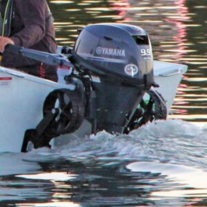 RailBlaza C-Tug Flip-Up Dinghy Transom Wheels. 220 lb. Load